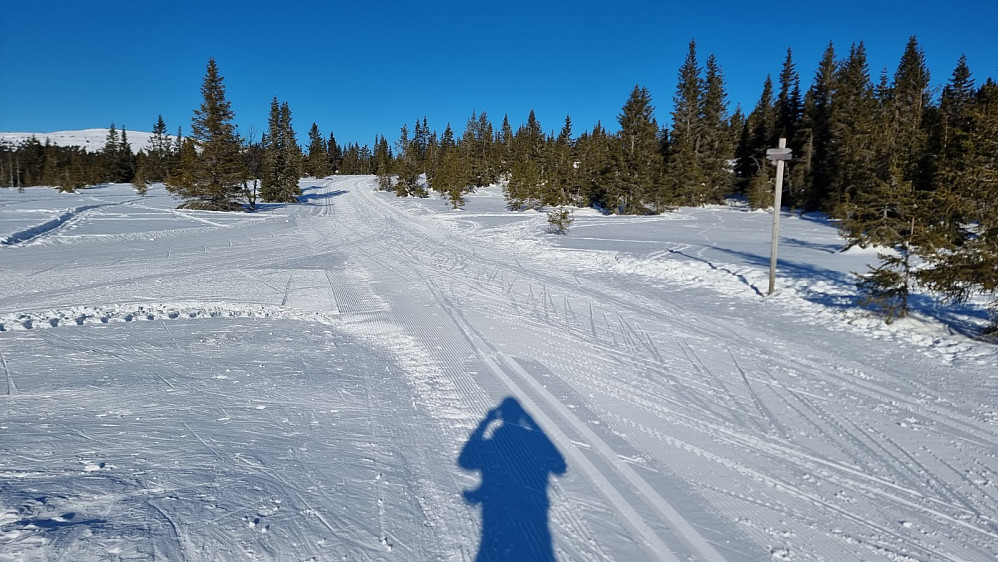 Flotte forhold i dag. Jeg tok til venstre ned her på returen. Nevelfjell til venstre i bildet