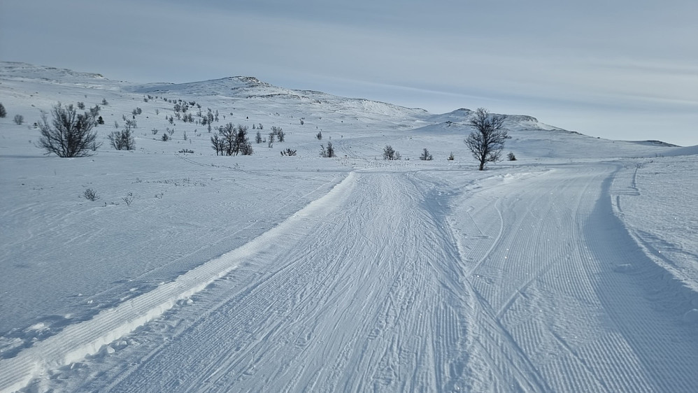 Hit var det kjørt med prepareringsmaskin, men det gikk et tydelig tråkk herfra og opp