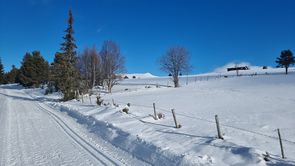 Rett etter start fikk jeg fri sikt opp på Digervardin