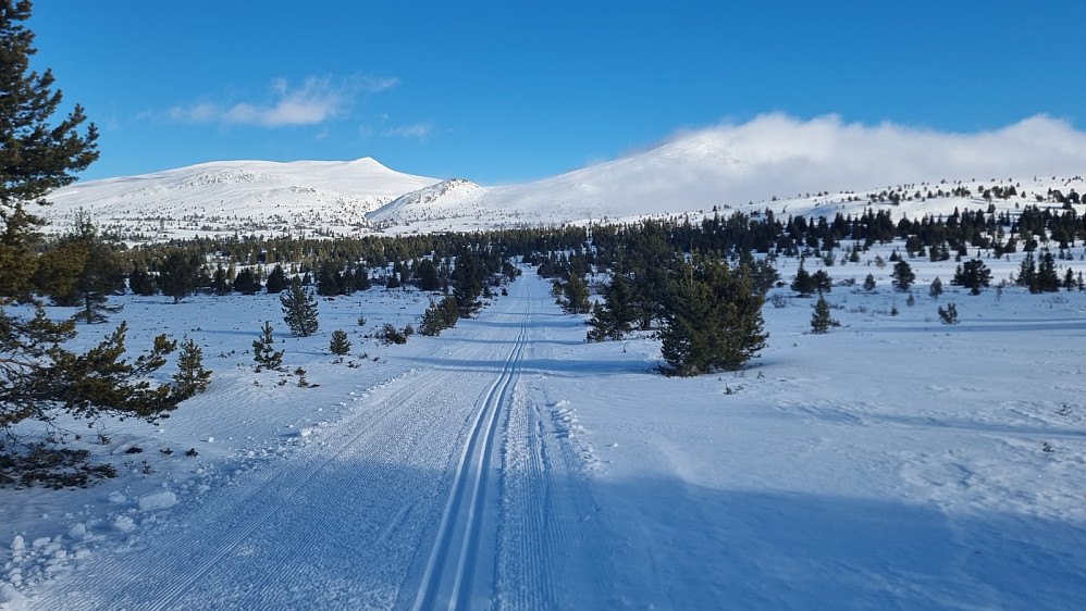 Innmarsjen er flat og litt kjedelig på rando, men du verden for en utsikt mot toppene, selv om tåka delvis lå over Gråhøa