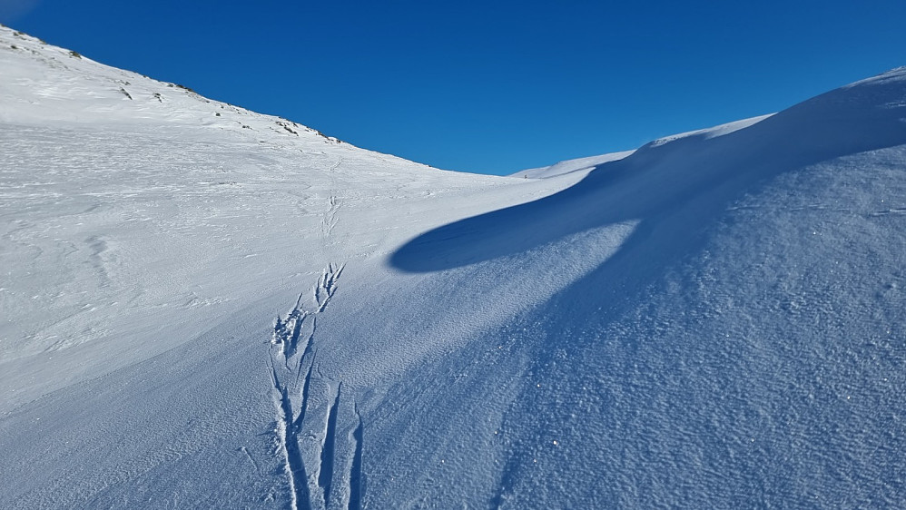 Jeg gikk på et dagsgammelt spor etter en med fjellski og kortfeller