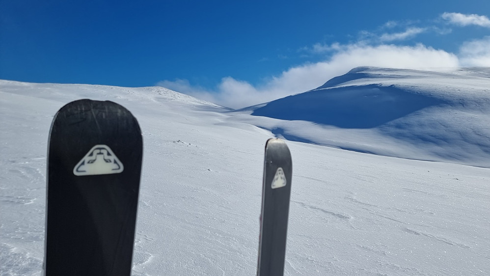 Etter en lang aketur ned fra Gravdalsfjellet ble det matpause og montering av feller, før jeg startet opp mot tåka på Gråhøa