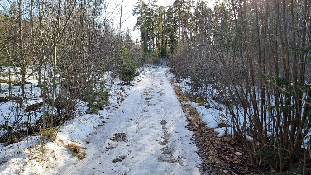 Lengre opp ble det et stykke med glatt kjerrevei