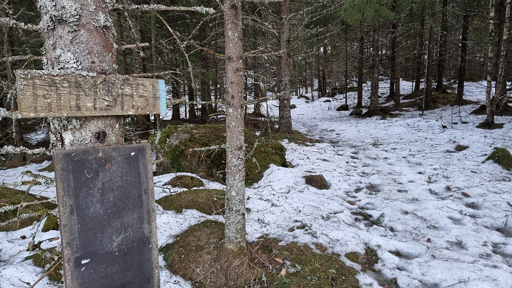 Heldigvis var det fast snø og lett å gå i skogen