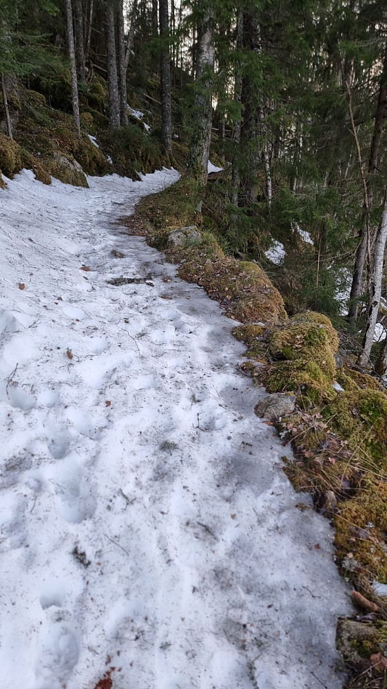 Flott oppmurt gammel hestevei i starten
