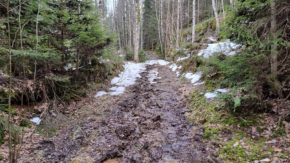 Stedvis vått i stien