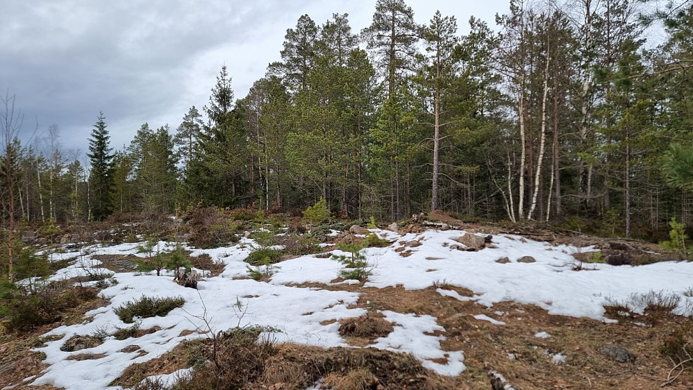 Høyeste punkt på Jakobåsen