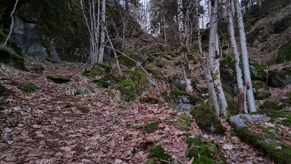 Noen bratte partier var det, men stien var tydelig og merket, så det var greit å finne frem