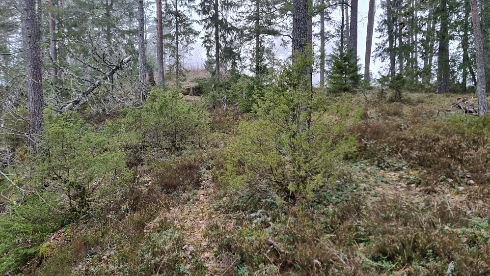 På ryggen tok jeg av veien og gikk i terrenget bort til toppen