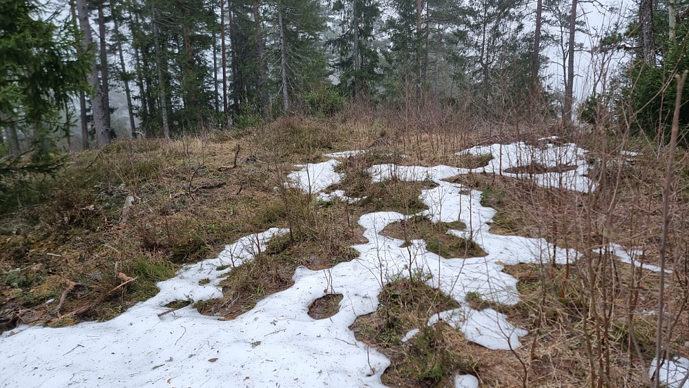 Her et sted er høyeste punkt på Rødåsen