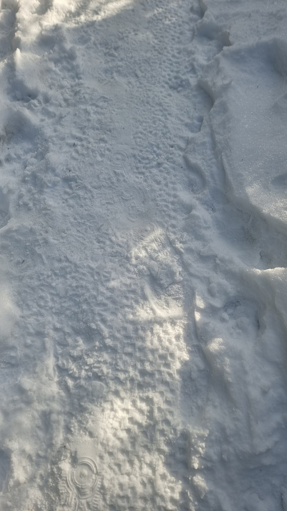 I snøen i stien var det avtrykk etter både joggesko og sykkel