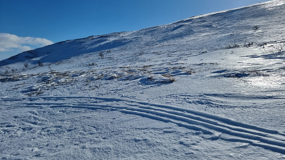 Litt lite snø og den sterke vinden satte en liten demper på akingen ned til start igjen, men alt i alt en grei tur