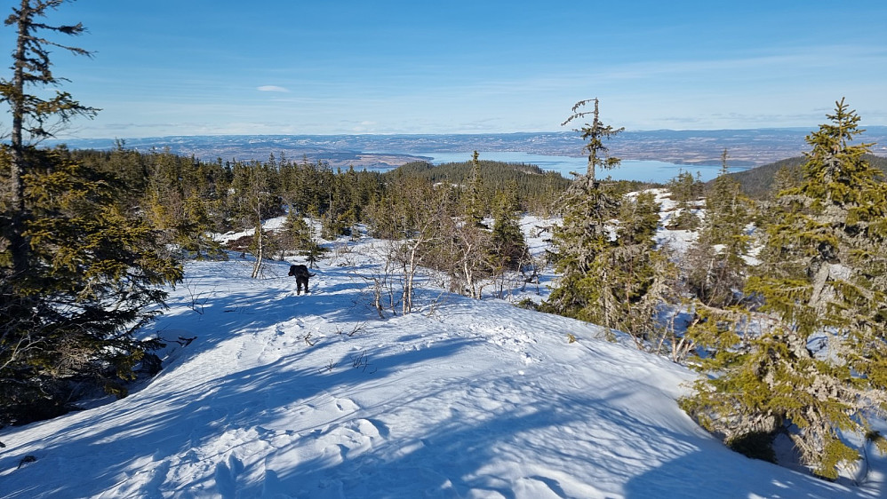 Når vi kom opp på Hvervenberget fikk vi flott utsikt ned på Helgøya og Hamar