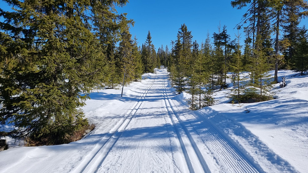 Perfekte forhold for både ski og sykkel i dag. Jeg møtte imidlertid bare 7 skiløpere på turen opp til Nordseter