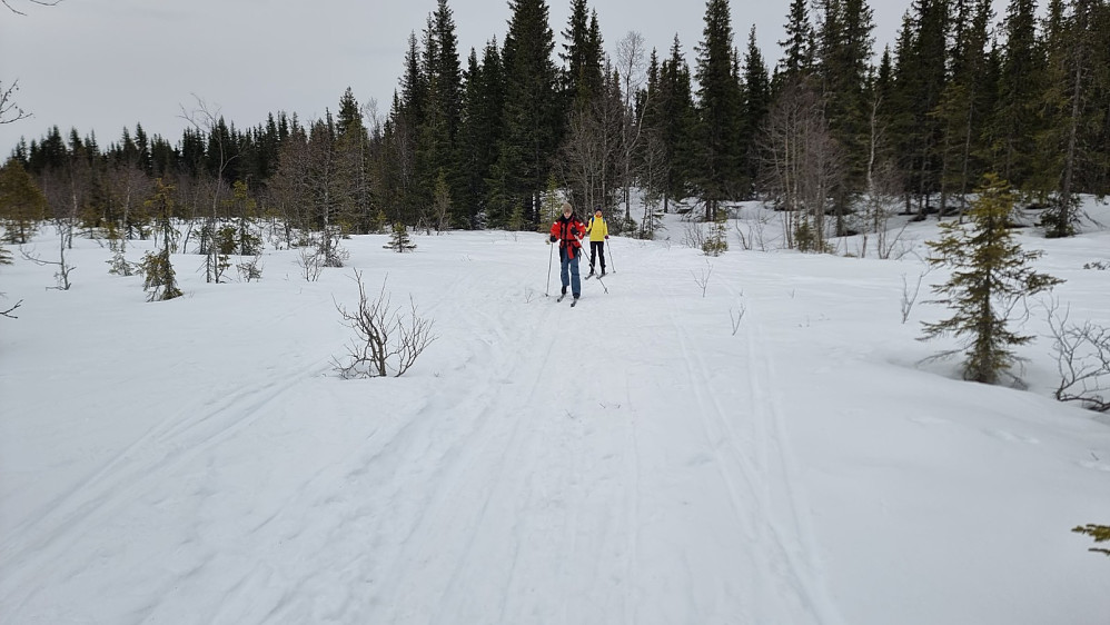 Vi gikk inn på hard snø som bar alle steder. Jeg sa vi kunne gå til en liten kul med utsyn, så fikk jeg også registrert et toppbesøk