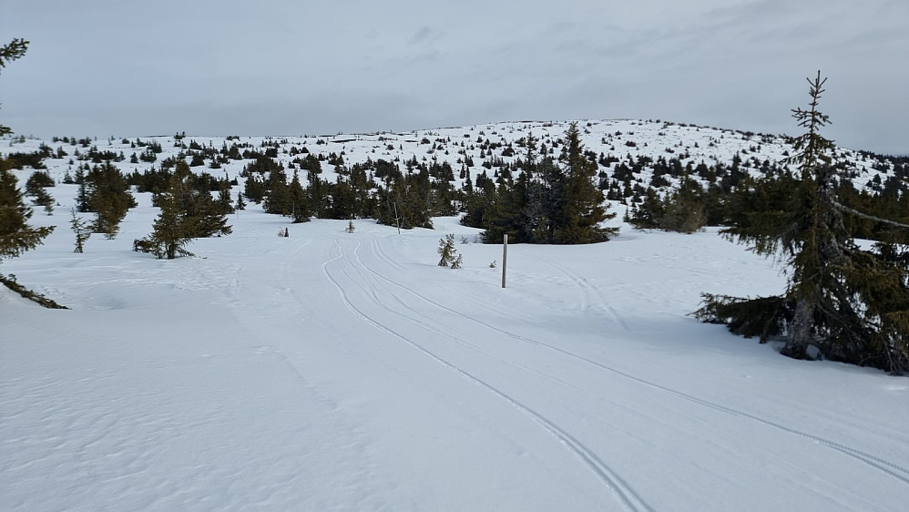 Tilbakeblikk opp mot Snørvillen. Vi var de første i løypa her i dag