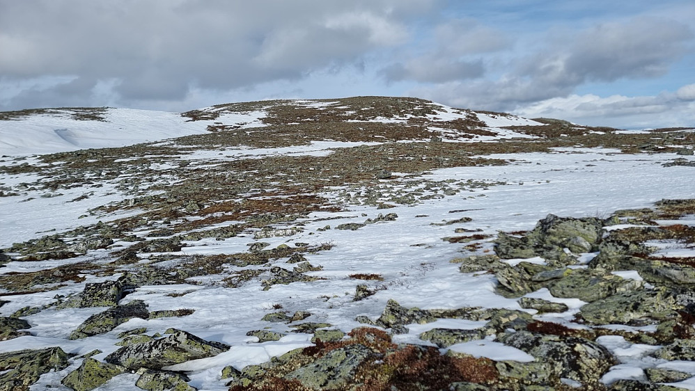 Oppe på fjellet var det stort sett bart og lett å gå