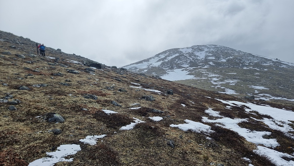 Her var det et lite bart parti. Kalvfjellet i bakgrunnen