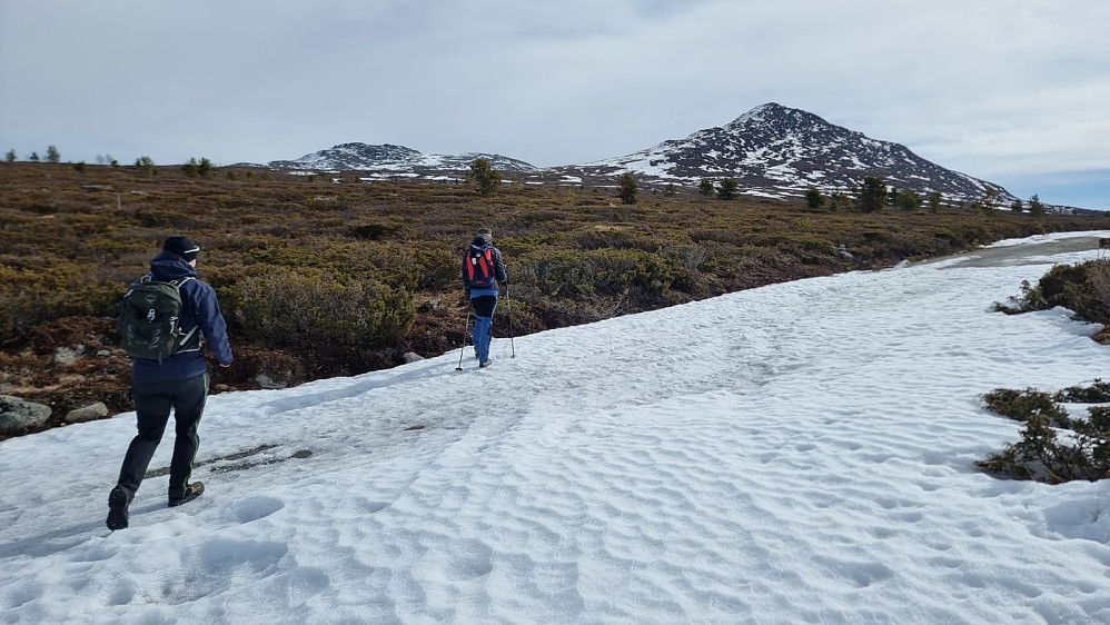 Snø på veien ved turstart, men ellers var det lite med snø i terrenget