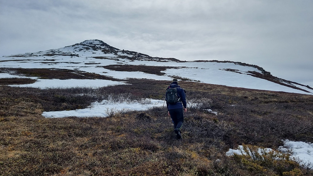 Høyere opp gikk vi mellom snøflekkene