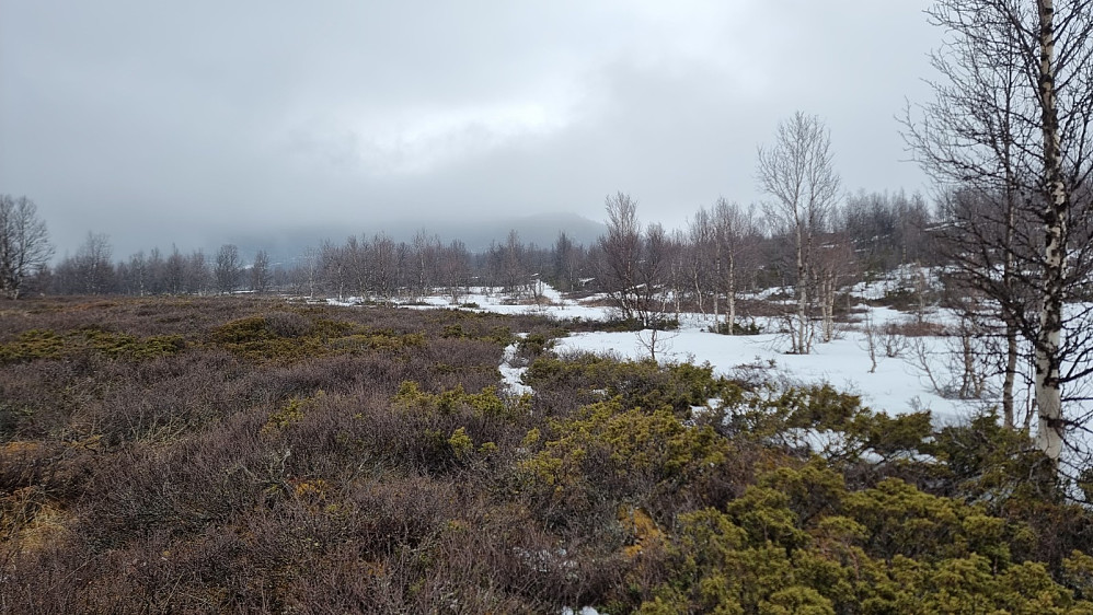 Her kunne jeg skimte fjellet i tåka. Veldig vått i terrenget her