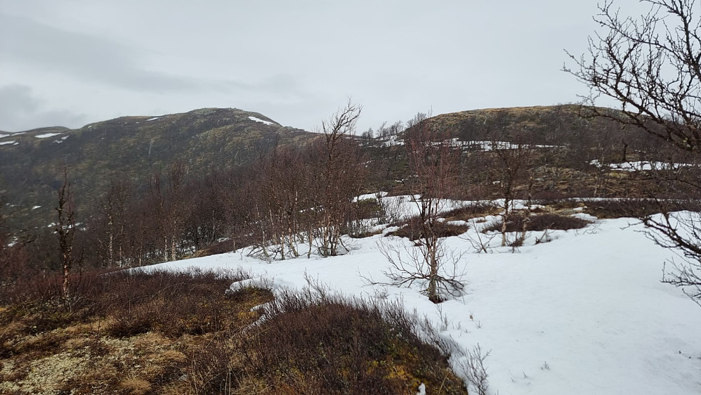 Det ble kryssing av en del snøfonner hvor jeg tråkket til bunns