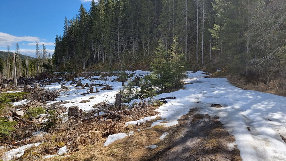 Siste 50 meterne av veien måtte jeg gå pga snøføre. Jeg tok bratt opp skogen til høyre