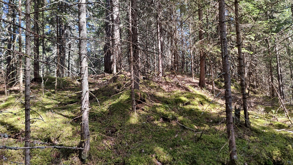 Krevende terreng gjorde det artig å gå her
