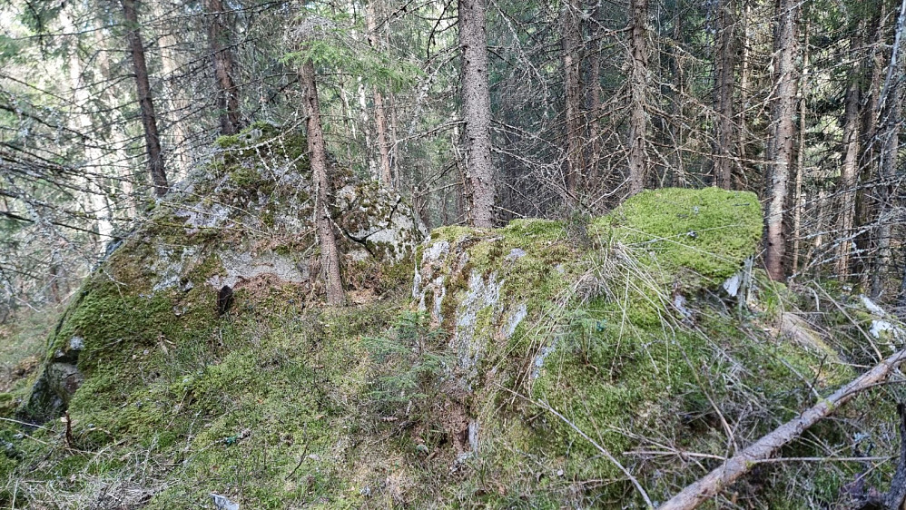 Høyeste punkt