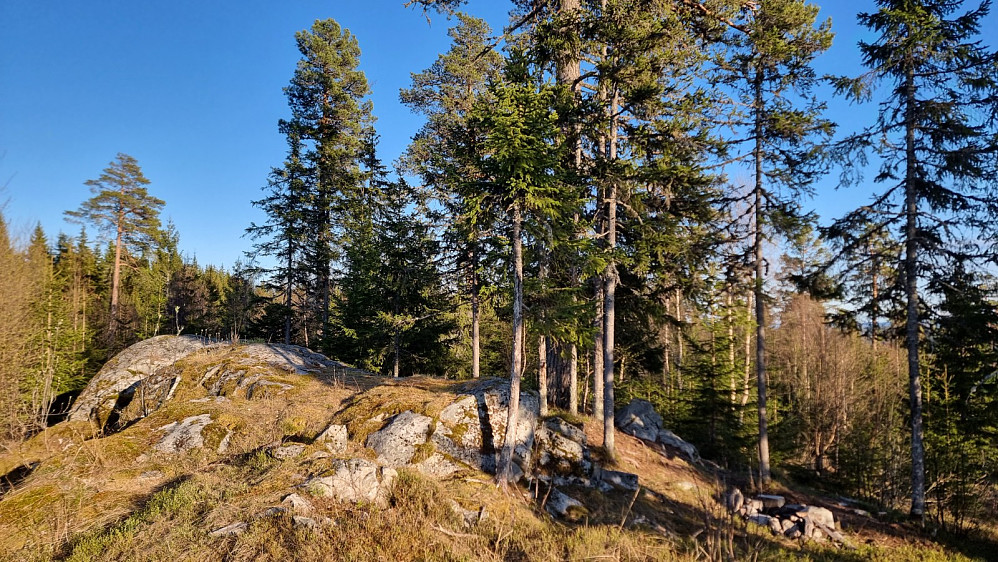 Ellingsrudåsen var den av dagens toppunkt som faktisk fremstod som en liten topp