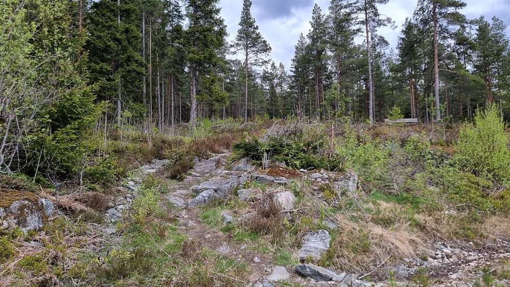 Det gikk først av en sti som var skiltet med Bjørnehiet, men noen meter lengre opp startet stien jeg skulle følge