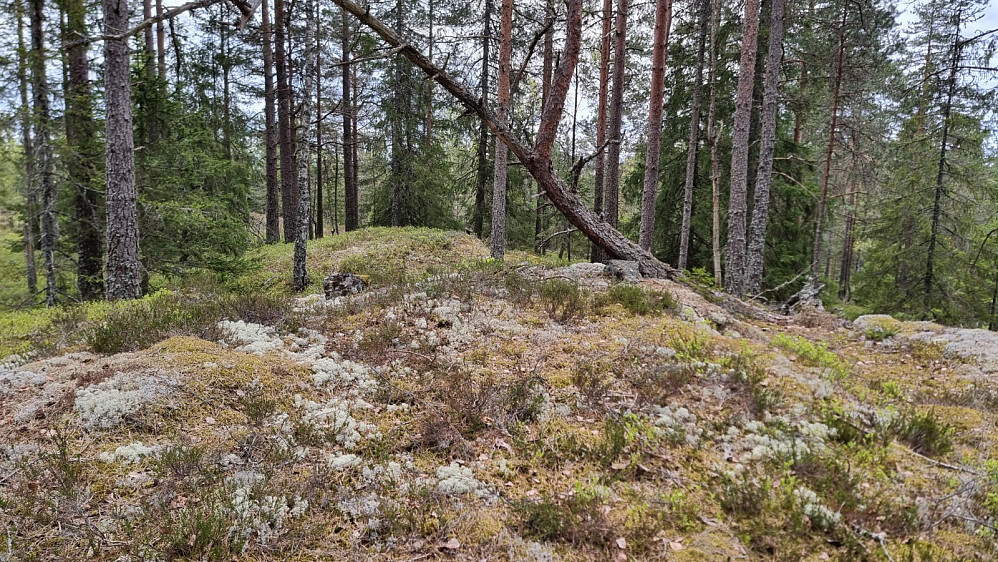 Turens andre topp, som lå et stykke fra stien