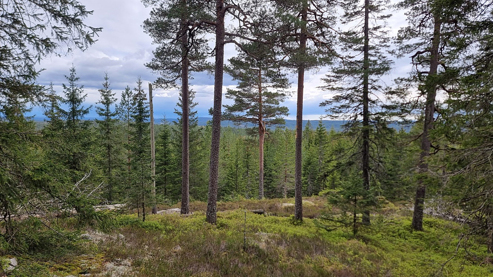 Litt utsikt var det også