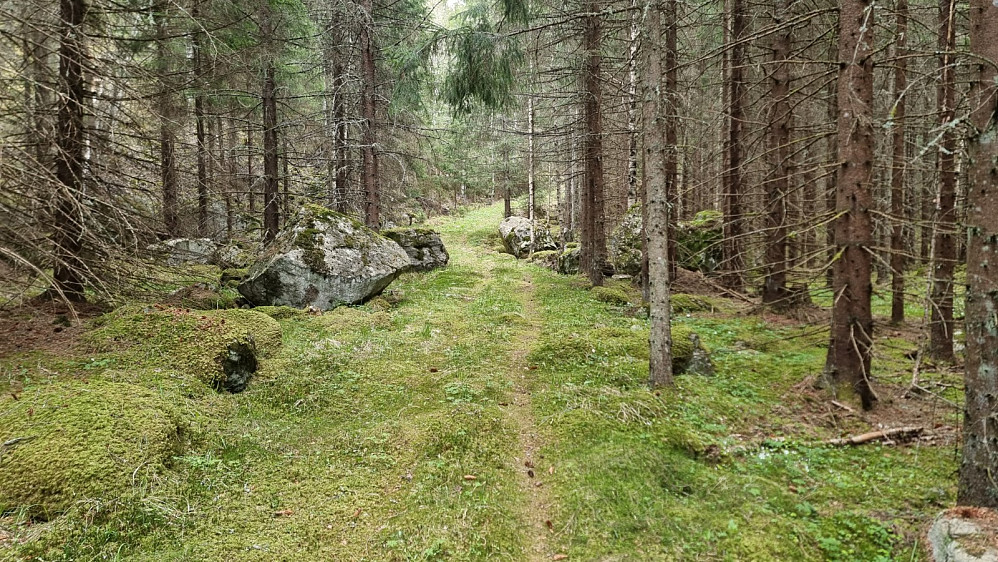 Bratt sti fra myra og opp mot skaret
