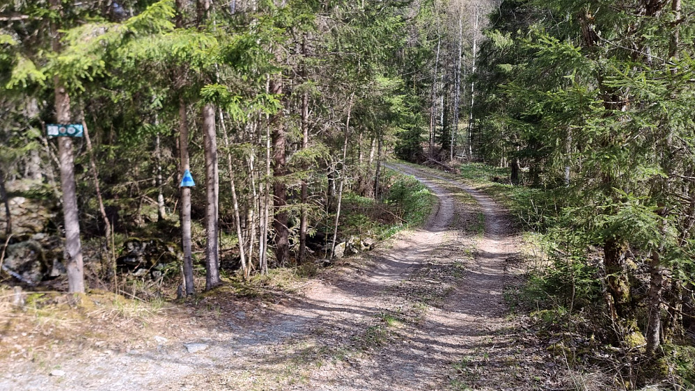 Nede i dalen tok jeg av denne veien opp åssiden