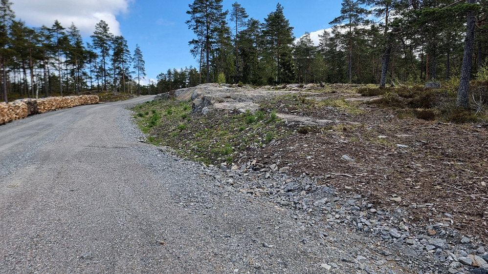 I følge kartet skulle det ta av en sti her, men jeg fant den ikke