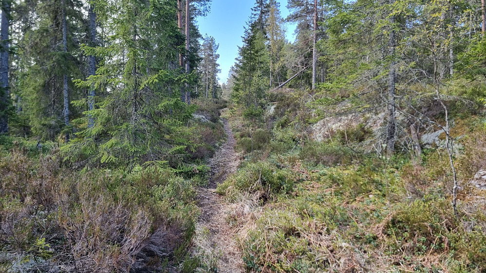 Lengre opp ble det å sykle på sti