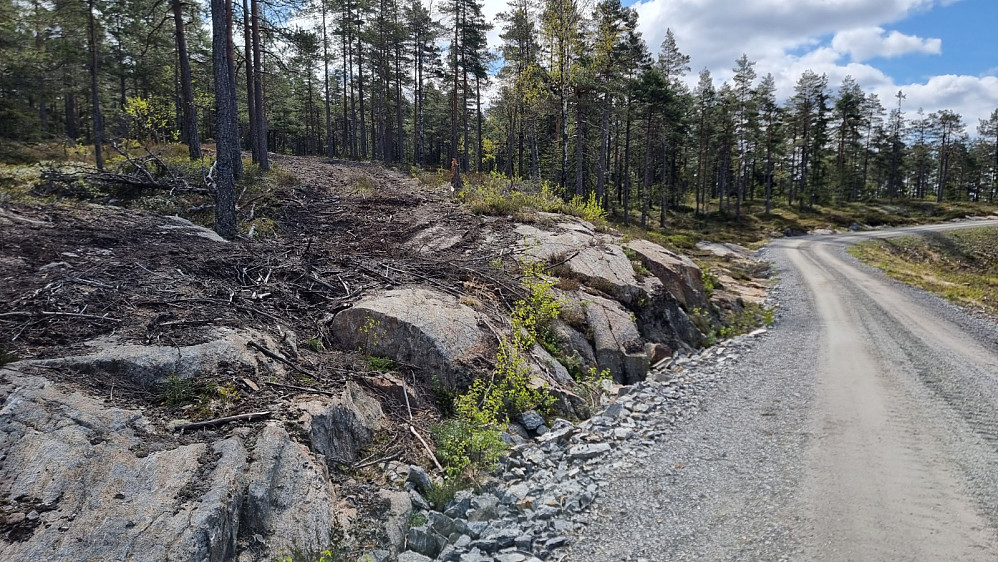 Her kom stien jeg gikk tilbake, inn på veien