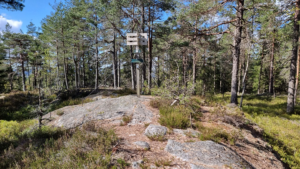 Høyeste punkt på Minjarudkollen