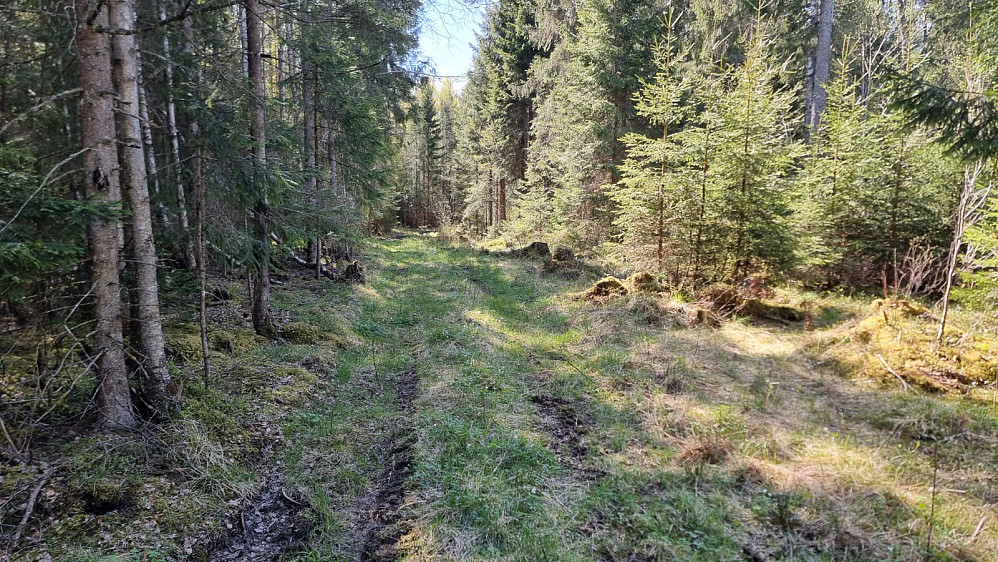 Rett etter start tok jeg av grusveien inn på denne kjerreveien, som jeg kunne følge halve turen opp