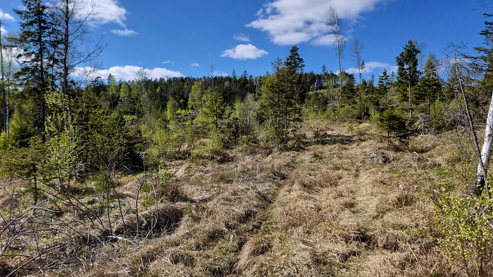 Hogstfelt gjorde det tungt å gå mye av siste biten opp