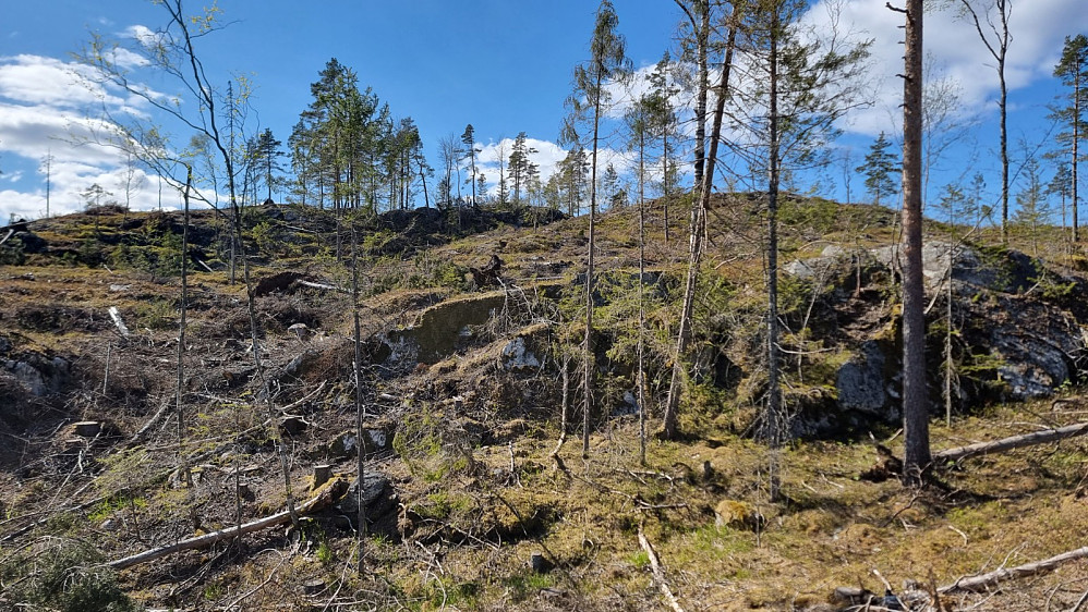 Her fikk jeg toppen i sikte, men det var et utfordrende hogstfelt å ta seg gjennom før jeg kom til toppen