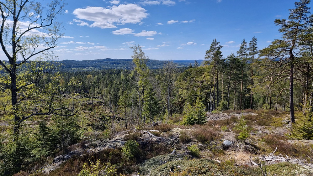 Flott utsikt fra toppen