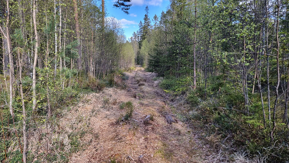 Ganske greit å sykle her