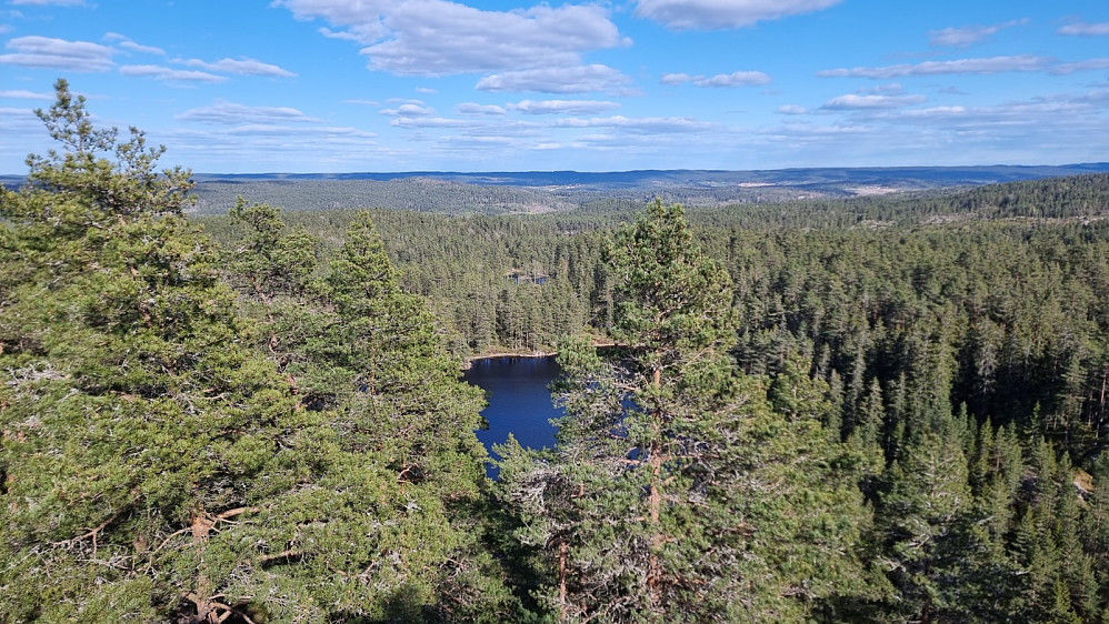 Utsikt fra tårnet