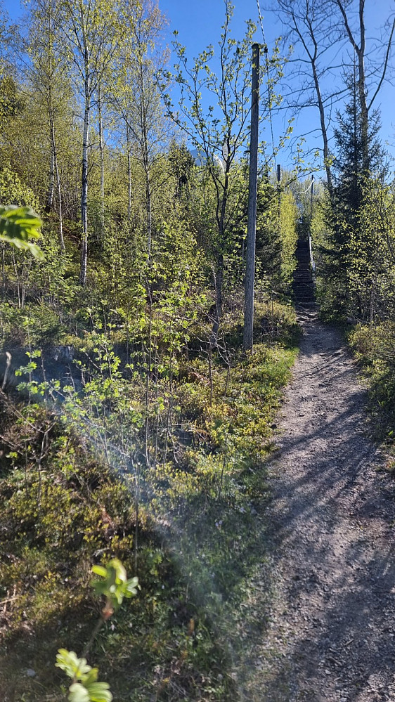Jeg tok en avstikker opp mot radaren på denne fine stien
