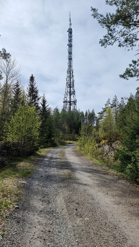 Bra dimensjoner på antenna her