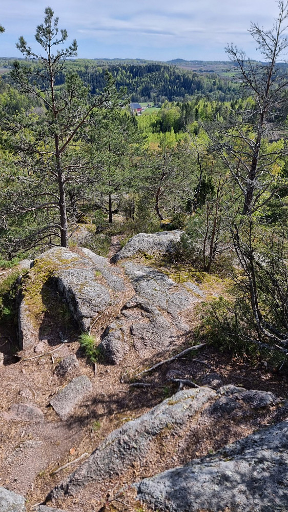Her fulgte jeg en mye brukt sti ned på sør ryggen av fjellet