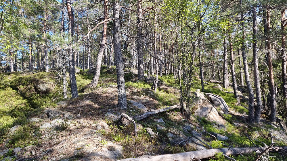 Her var det ikke lange biten igjen før jeg var på toppen av Dalskufjell