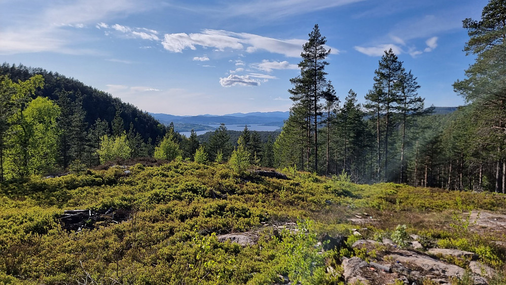 Flott utsikt fra hytta ved veis ende.